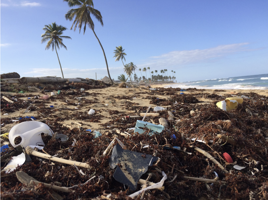 A polluted beach strewn with various types of debris including plastic items, metal fragments, and organic material like seaweed. In the background, tall palm trees and a clear sky suggest a tropical location. 